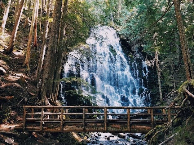 Walking path near Fairy Falls